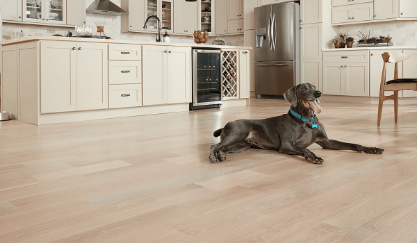 pet-friendly-wood-flooring pet-friendly-wood-flooring