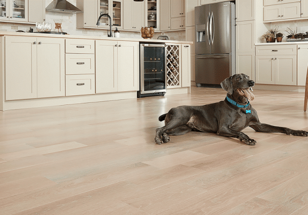 pet-friendly-wood-flooring pet-friendly-wood-flooring