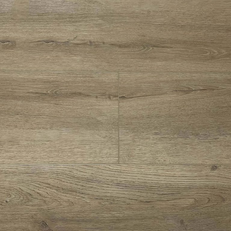 49006