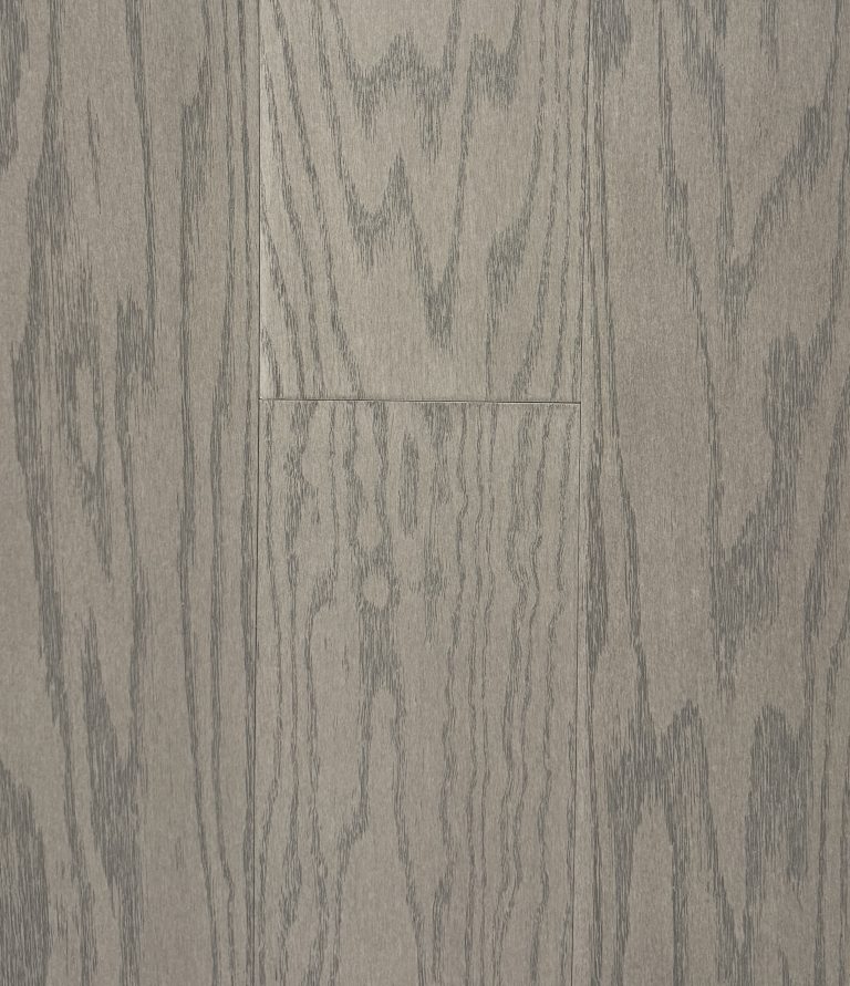 26004
